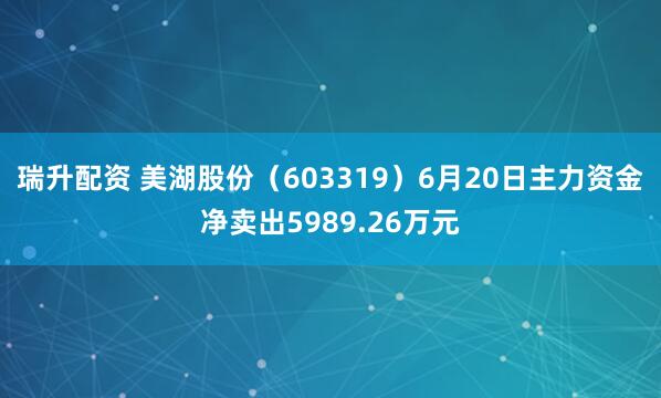 瑞升配资 美湖股份（603319）6月20日主力资金净卖出5989.26万元